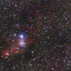 NGC 2264 - Nébuleuse du cône et amas de l'arbre de Noël - lunette 80ED