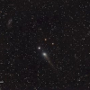 Comète C2017T2 et IC2574 à la lunette 80ED